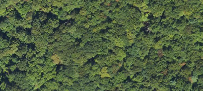 Unimproved Land