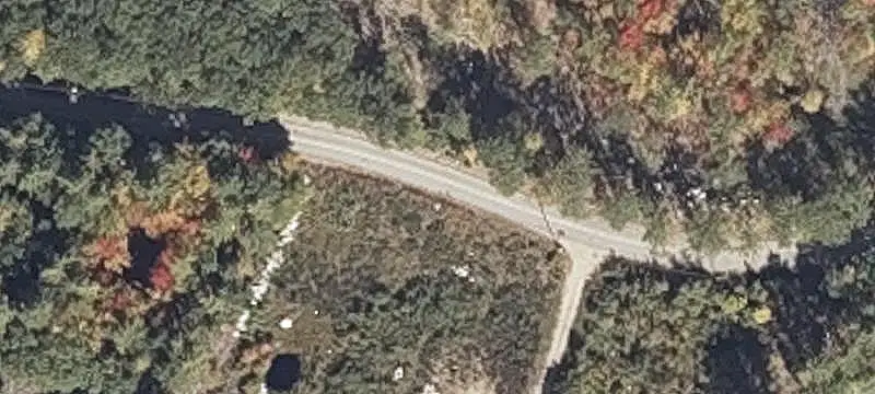 Wooded Hunting Land Along Public Forest