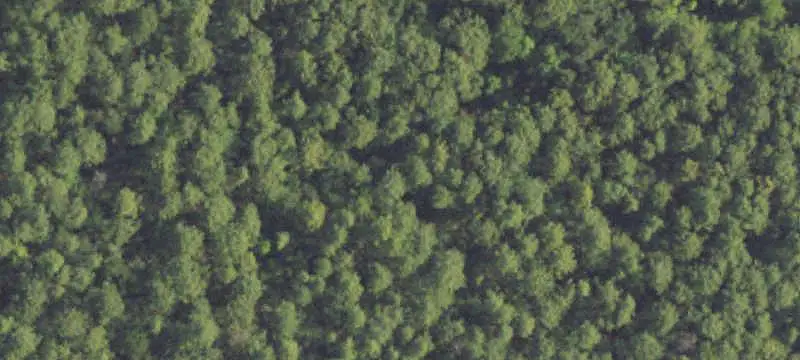 Corner Commercial Land Parcel