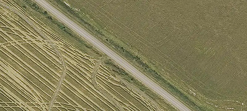 Irrigated Cropland and Timber Farm