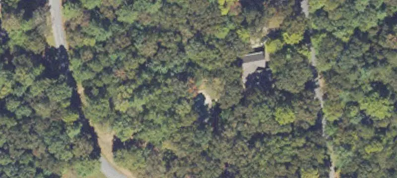 Wooded Commercial Land