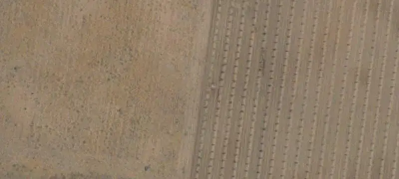 Citrus Ranch with Irrigation System