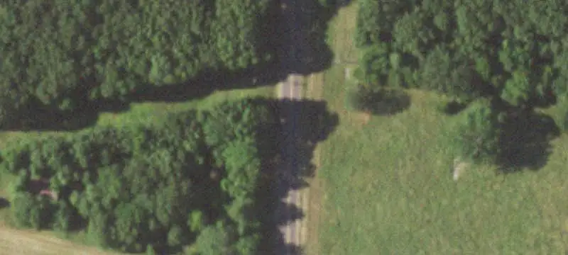 Wooded Agricultural Land