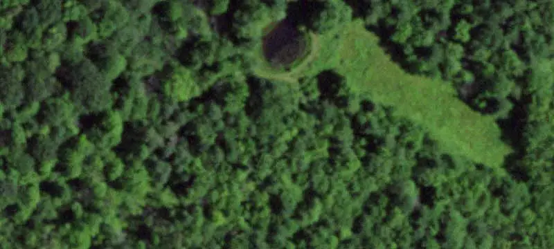 Hunting Land with Rustic Cabin