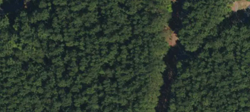 1461 Cordova Dr, Connelly Springs, NC 28612