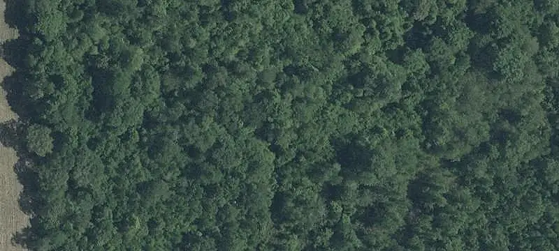 Wooded Recreational Land