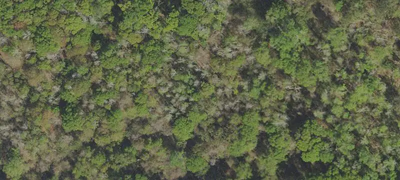 Vacant Land / Lots