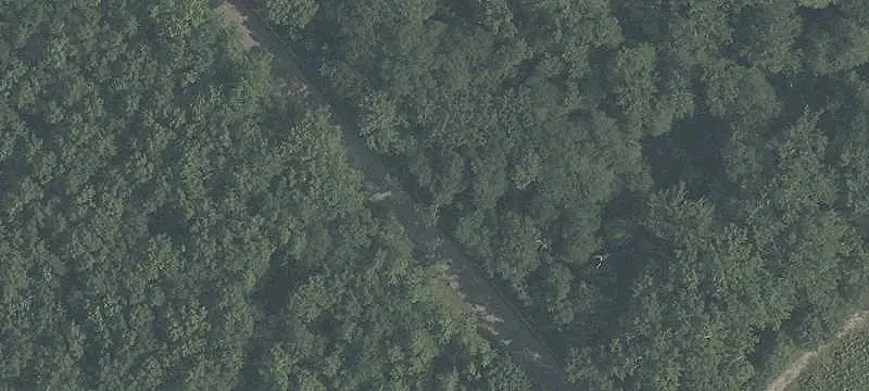Wooded Hunting Land