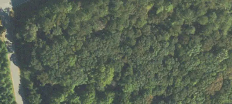 Land/Lot
