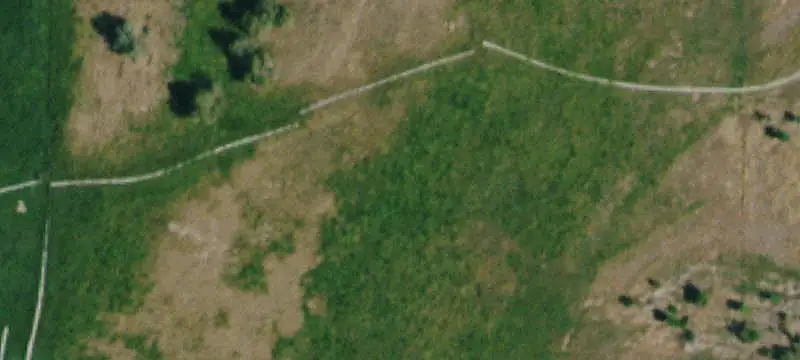 Irrigated Agricultural Land