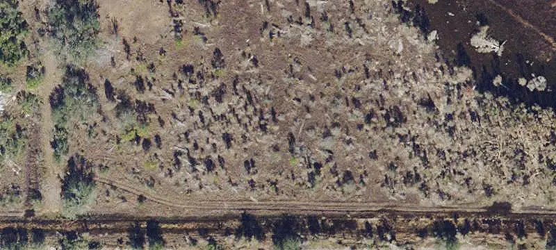 Land