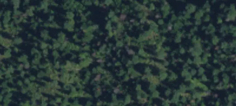 Land/Property
