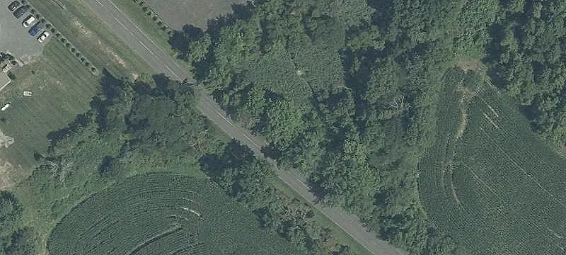 Farm Property with Existing Improvements