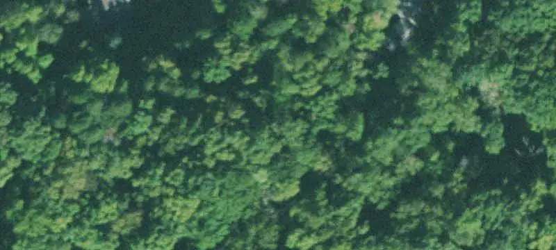 Unimproved Land