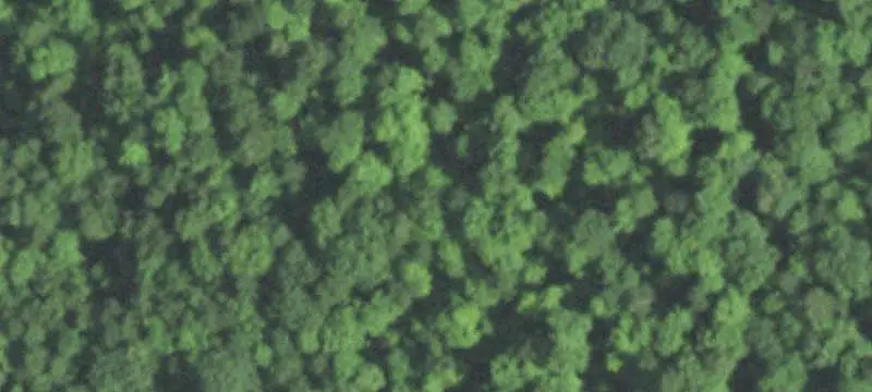 Wooded Hunting Land with Trails