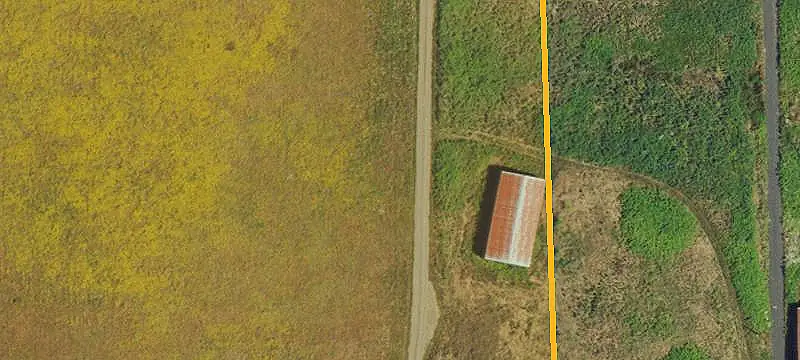 Expanding Vineyard Property