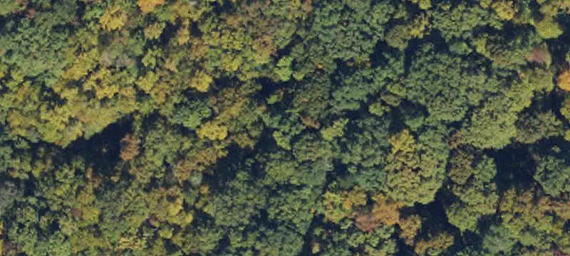 Land/Lot
