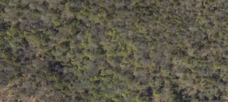 Land/Lot