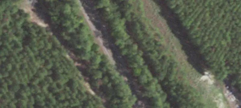 Ranch Property With Residence
