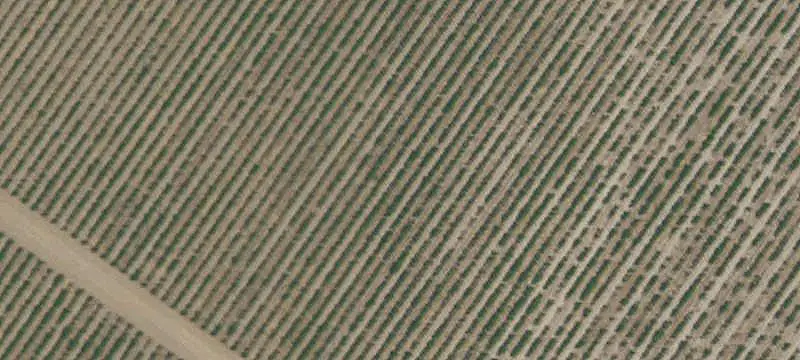 Agricultural Farm With Water Resources
