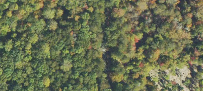 Unimproved Land