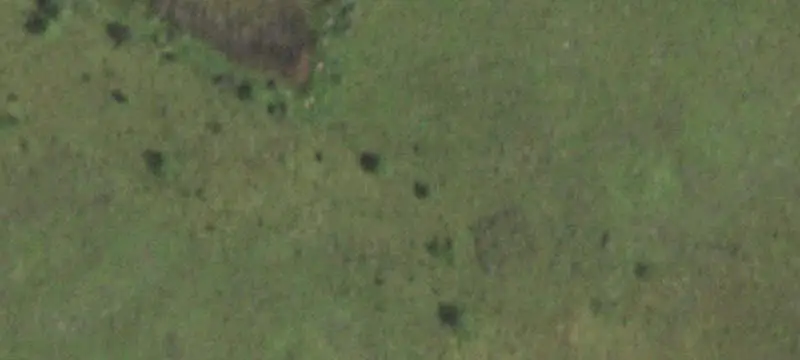 Land or Vacant Lot