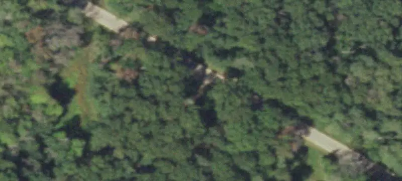 Whitetail Hunting Land