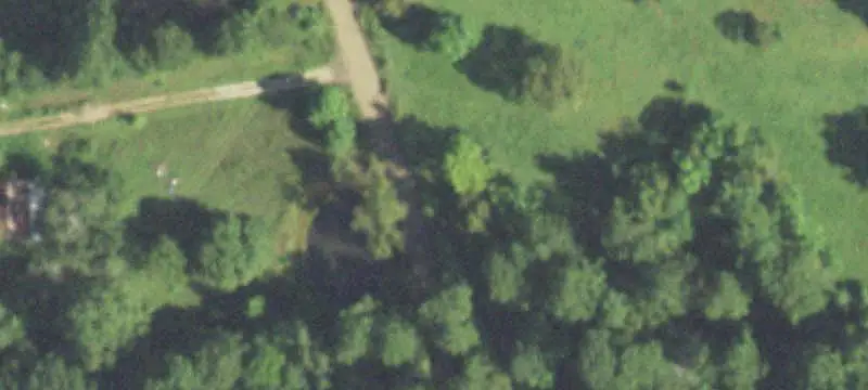 Wooded Agricultural Land