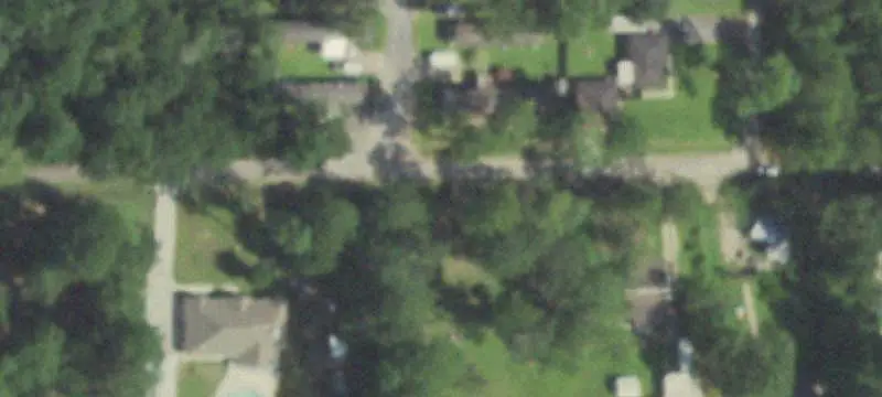 Wooded Land Parcel