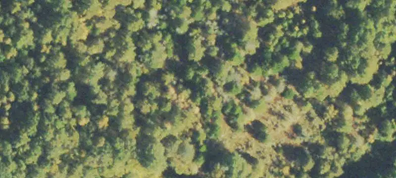Recreation Land with Natural Stream