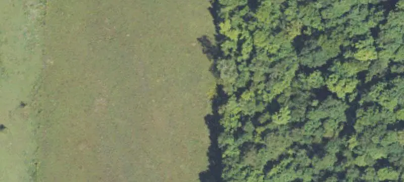 Wooded Hunting Land
