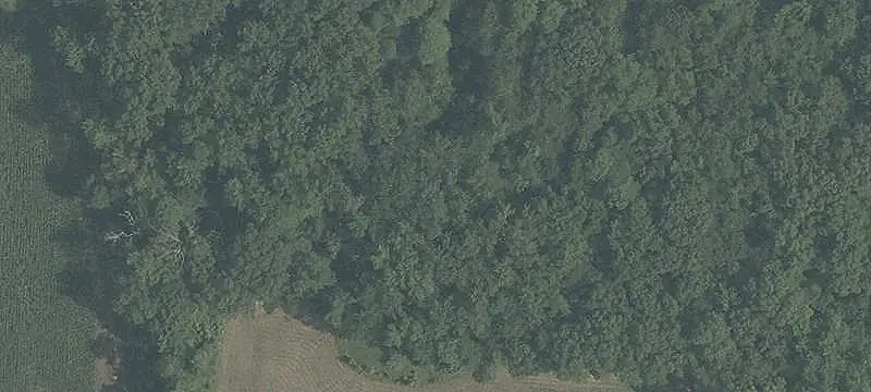 Vacant Land Parcel