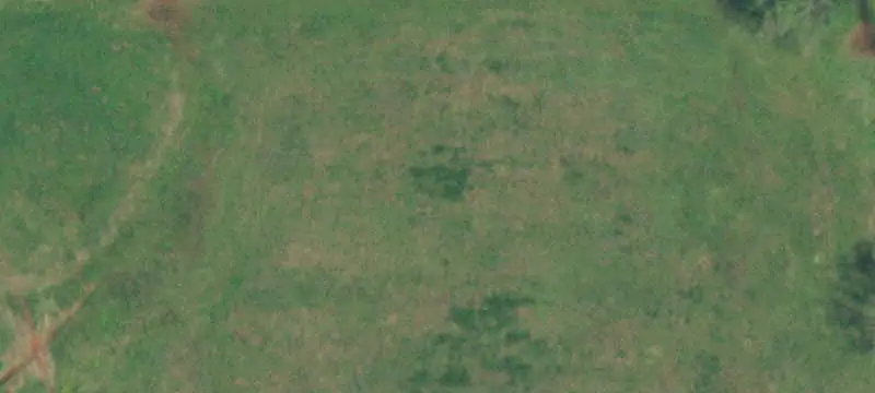 Unimproved Land