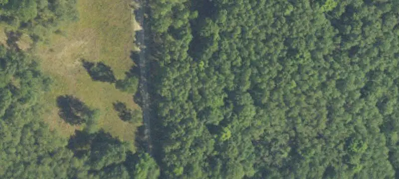 Hunting Land with Wildlife