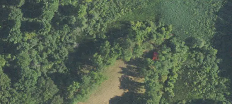 Treed Development Land