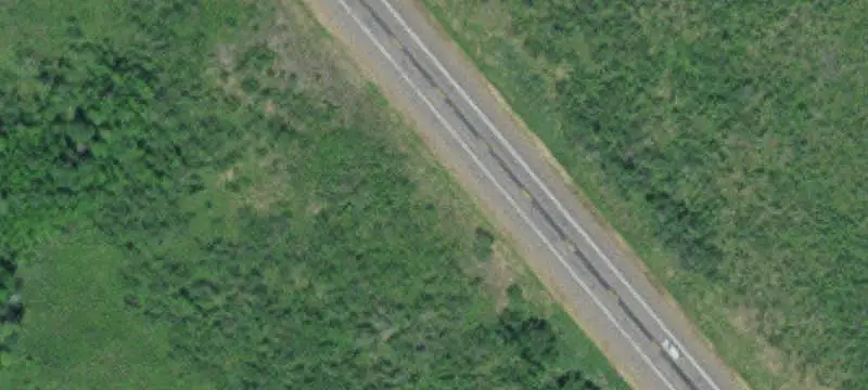 Undeveloped Bog and Woodland Land