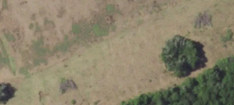 Wooded Agricultural Land with Improvements