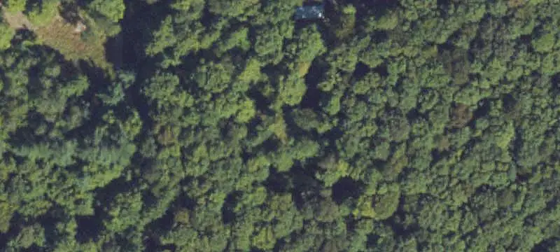 Wooded Land with Seasonal Pond