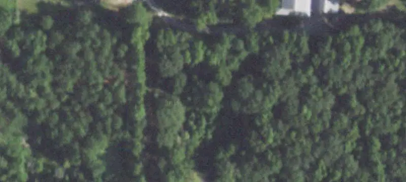 Fenced Horse & Equestrian Property