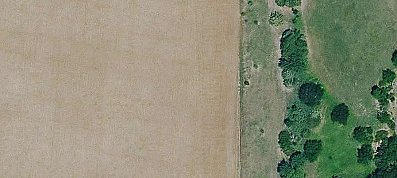 Agricultural Land with Timber