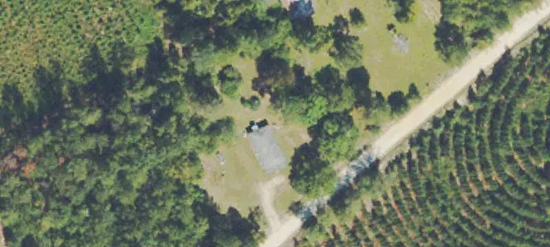 Wooded Hunting Land with Campsite