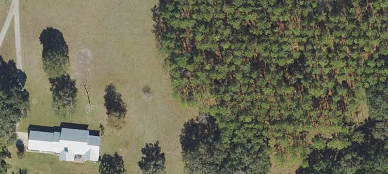 Agricultural Land with Open Pasture