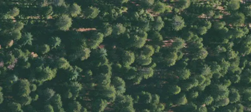 Lots/Land