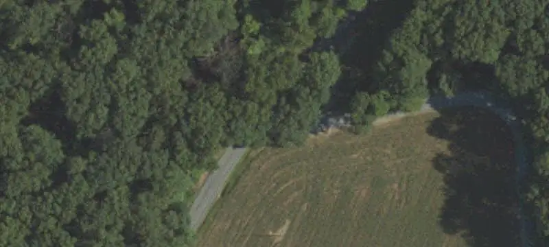Wooded Hunting Land