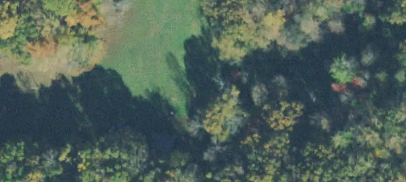 Farm with Creek and Forest