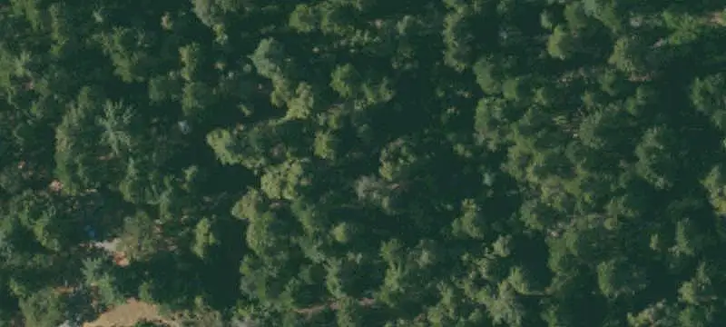 Lots/Land
