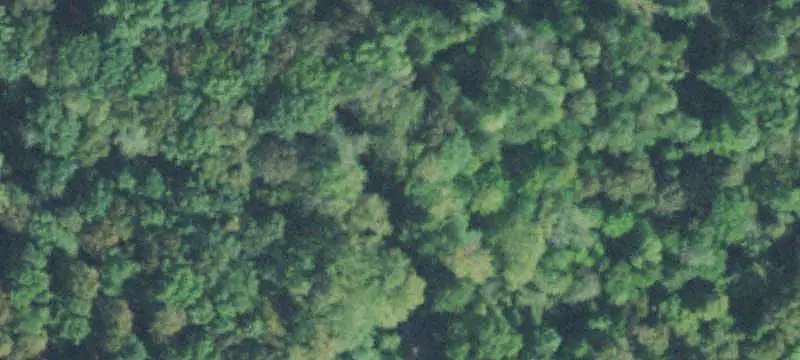 Vacant Land