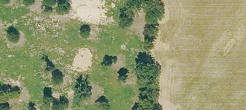 Land