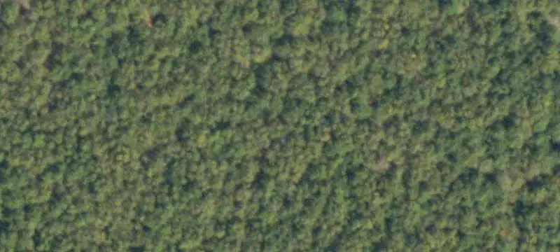 Unimproved Land Parcel