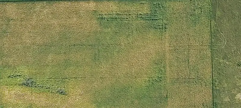 Land/Lot